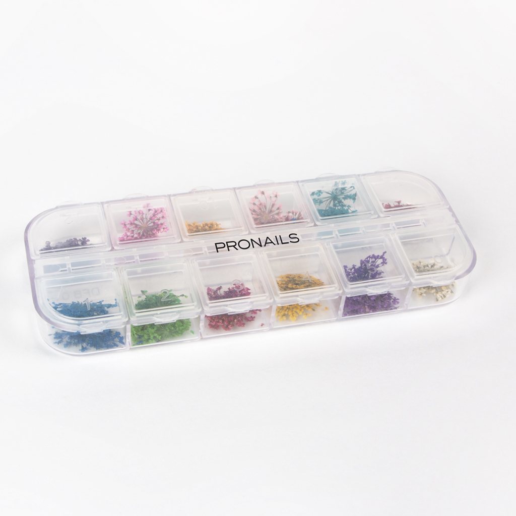 [29452] Pronails Real Dried Flowers 12 Colours